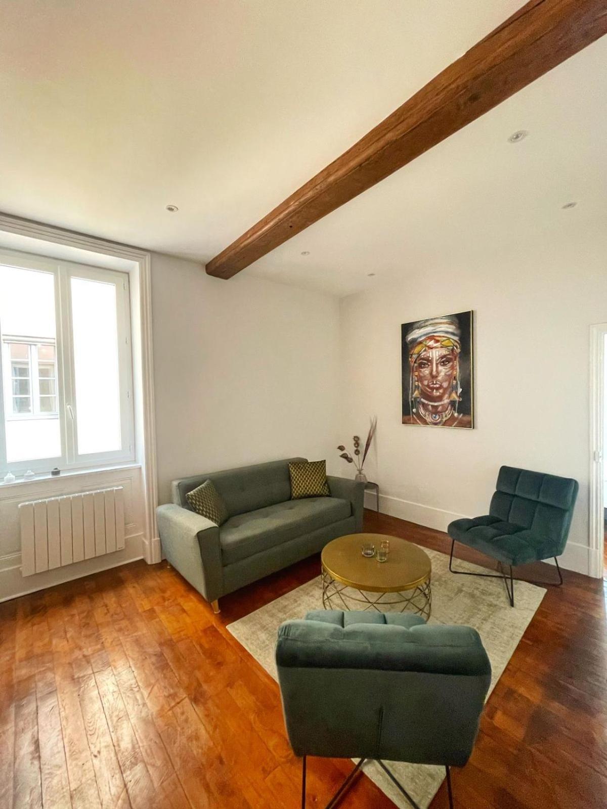 Center Macon Charmant Appartement Avec Vue Sur La Saone Buitenkant foto